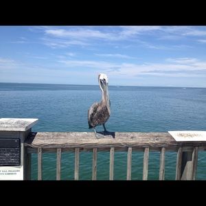 Meet your Posher, Joe